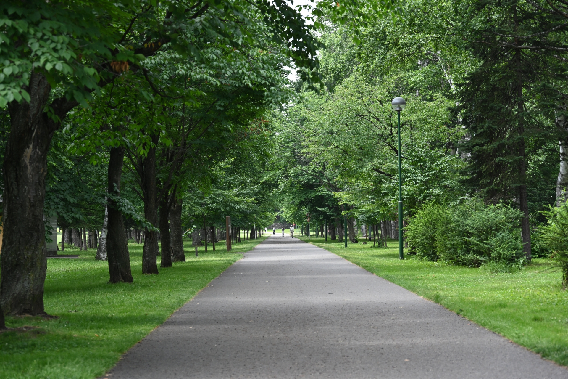 北海道帯広市の緑ヶ丘公園。その敷地は50.5ヘクタールと広大です。