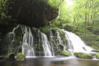 【元滝伏流水】
「元滝伏流水」は、鳥海山に染み込んだ水が長い歳月をかけ、幅約30ｍの岩肌一帯から一日5万トンもの水が湧き出している滝です。