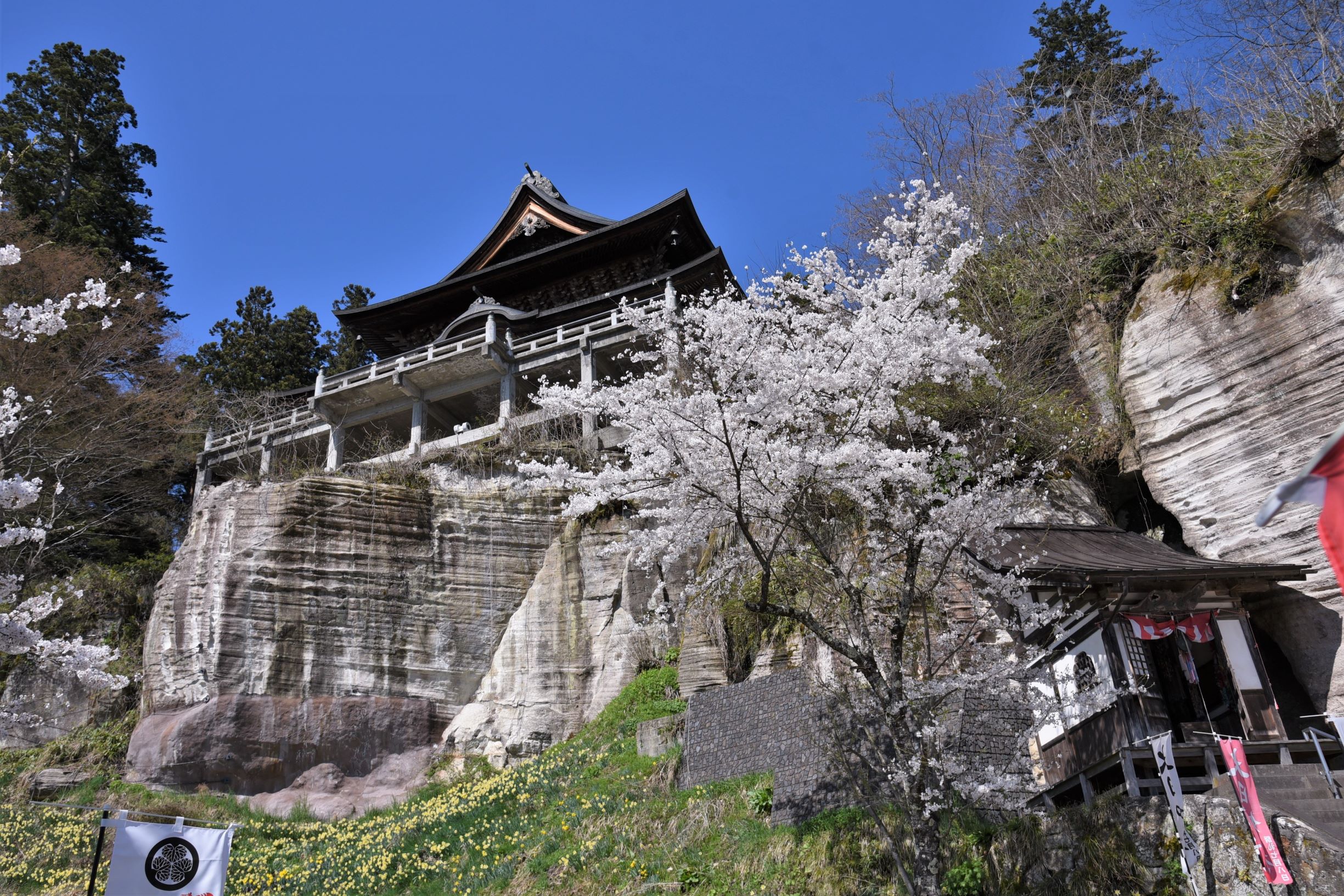【春】千二百年の歴史ある圓藏寺は「日本三虚空藏」のひとつとして、多くの参拝者が訪れます。