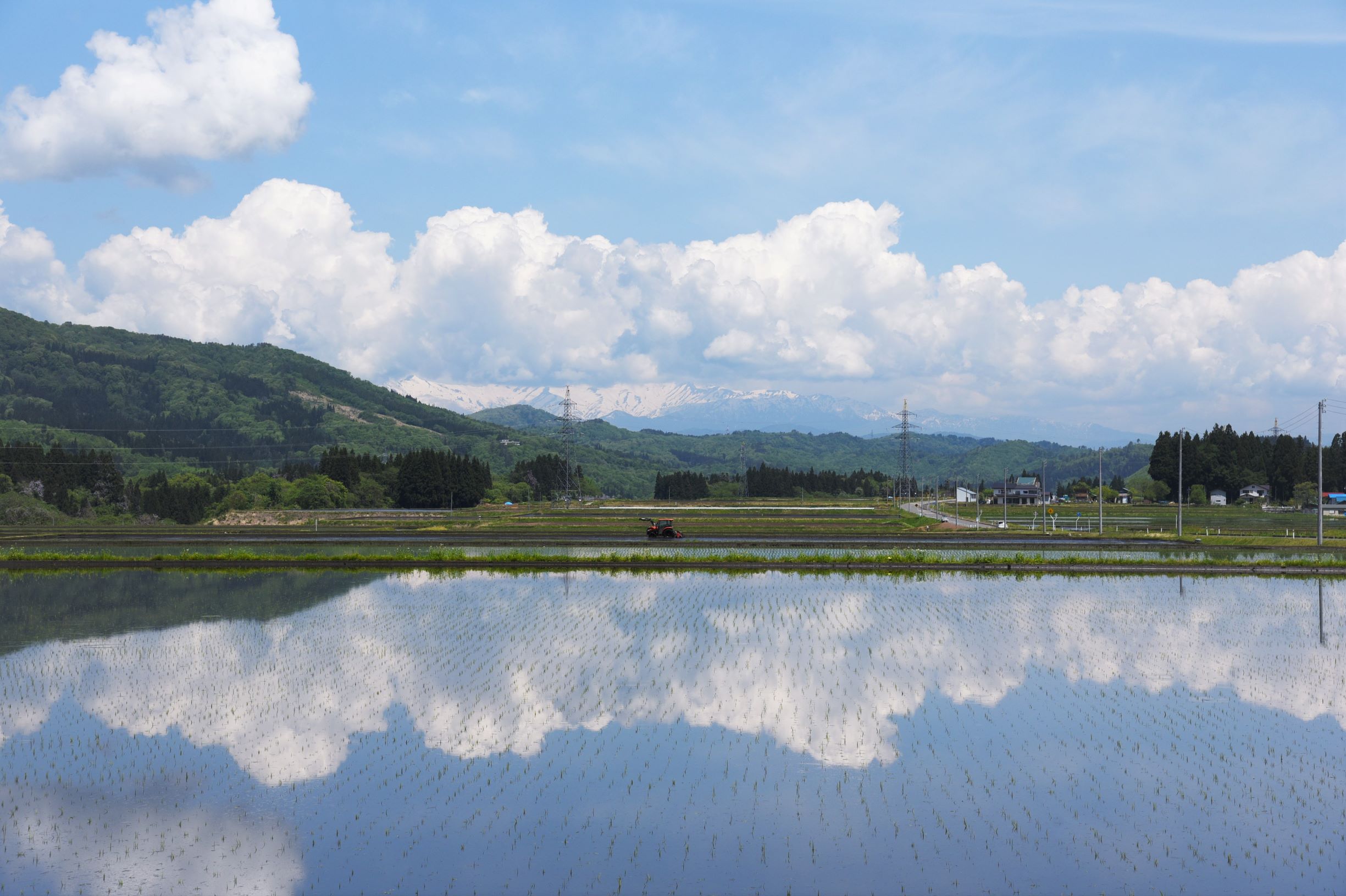 【夏】農業が盛んな柳津町には四季折々の恵みがあり、生活の中で四季を感じることができます。