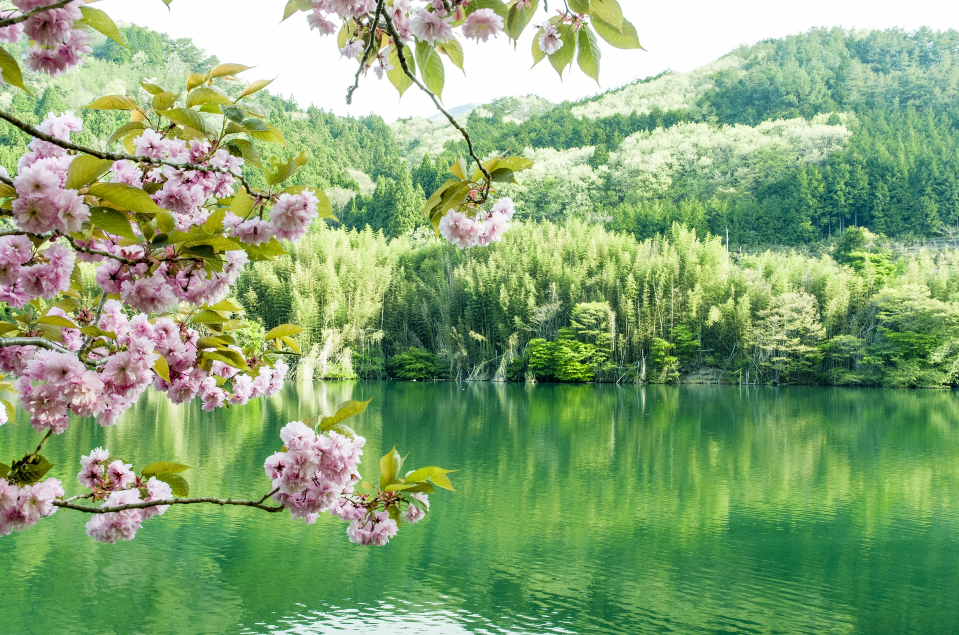 群馬県みどり市の「草木湖」。四季折々の美しさが楽しめます