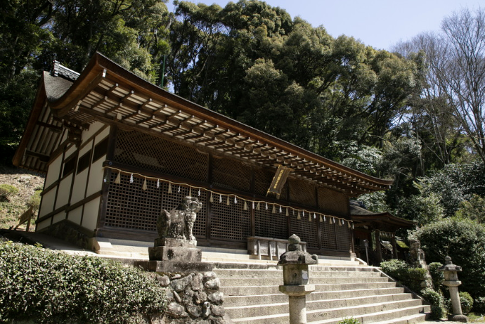 本殿は国宝 世界遺産にも登録されている宇治上神社