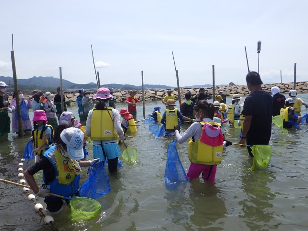 阪南の海で伝統漁法「すだて漁」体験はいかが？