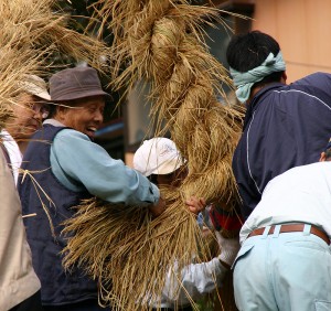 大豊町杉（大杉八坂神社）の大杉しめ縄祭り