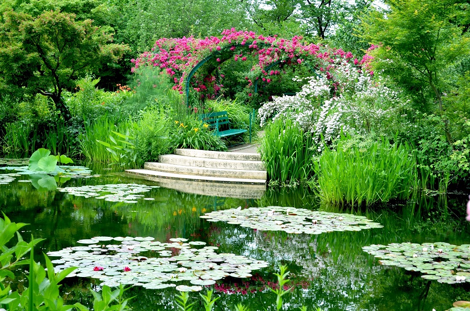 「モネの庭」水の庭５月バラのアーチ