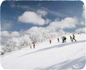 日本最南端の天然雪「五ヶ瀬ハイランドスキー場」