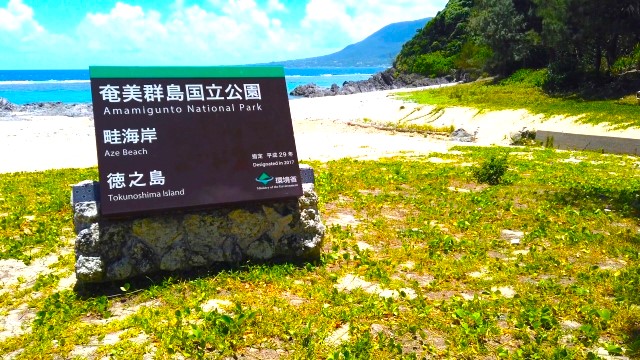 奄美群島国立公園に指定されている豊かな自然も魅力です