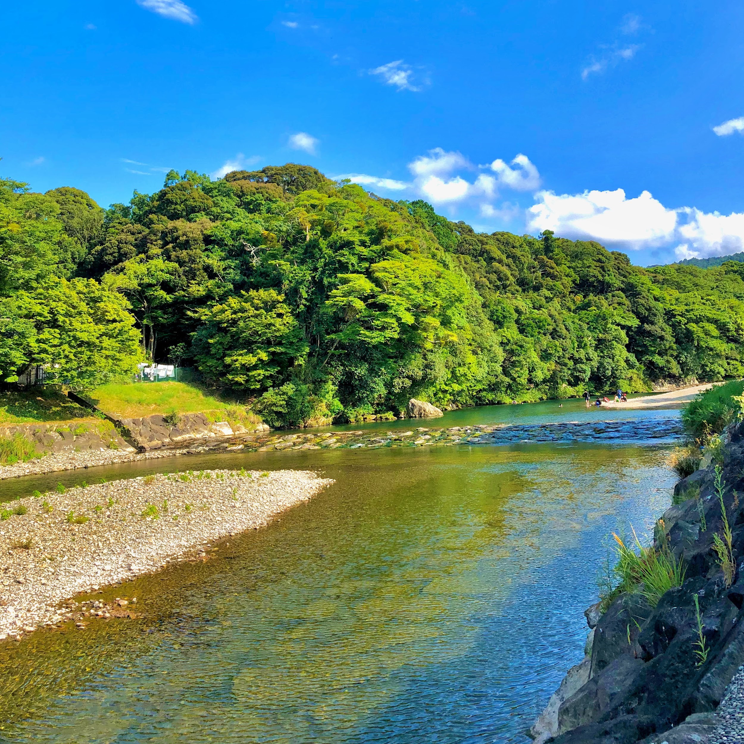 夏の五十鈴川