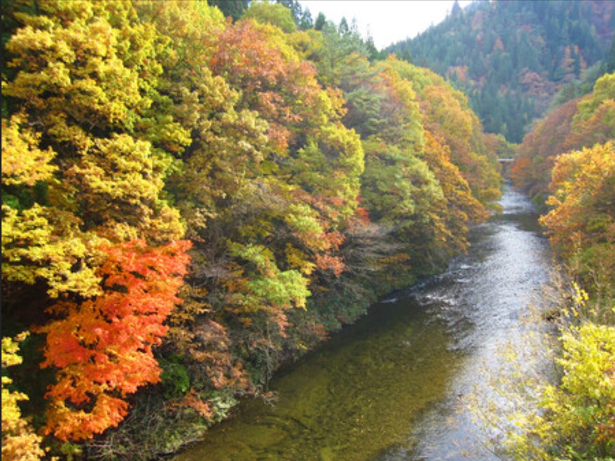 秋の長木川渓谷