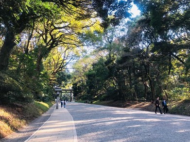 明治神宮の南参道