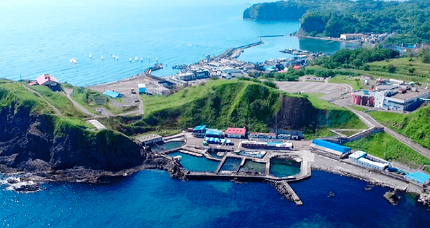 おたる水族館の全貌