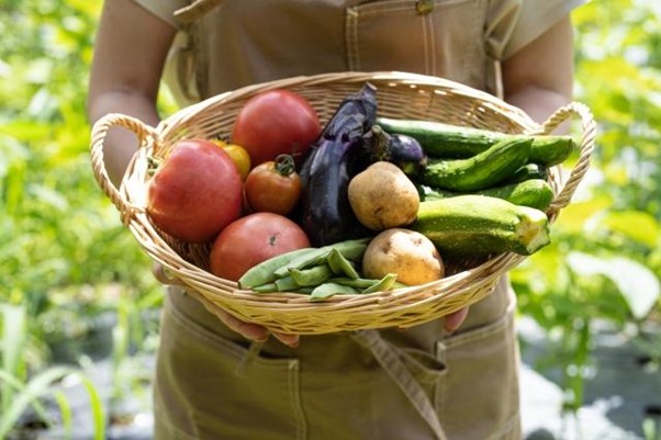 大分県の野菜のイメージ画像