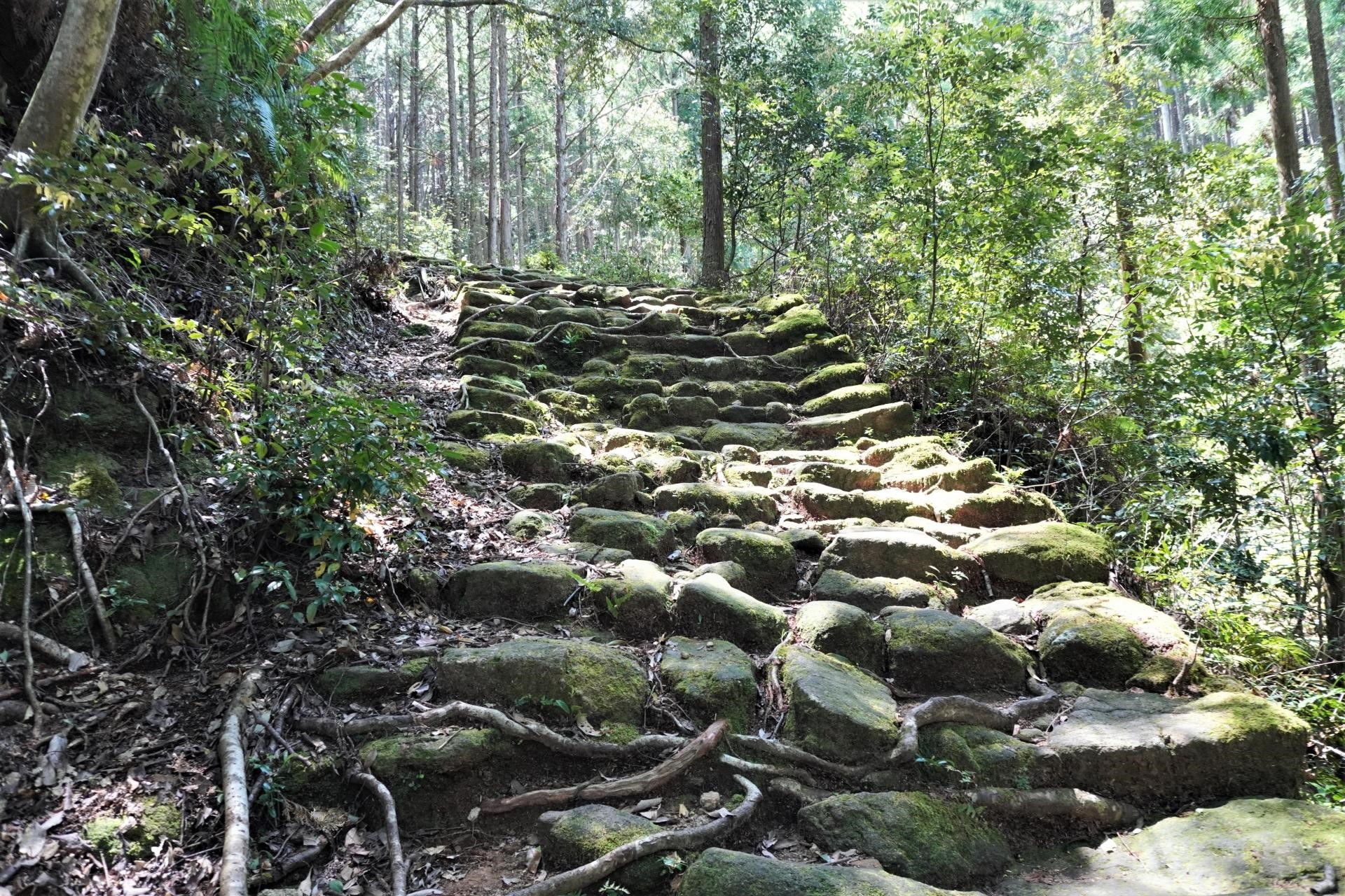熊野古道 石段