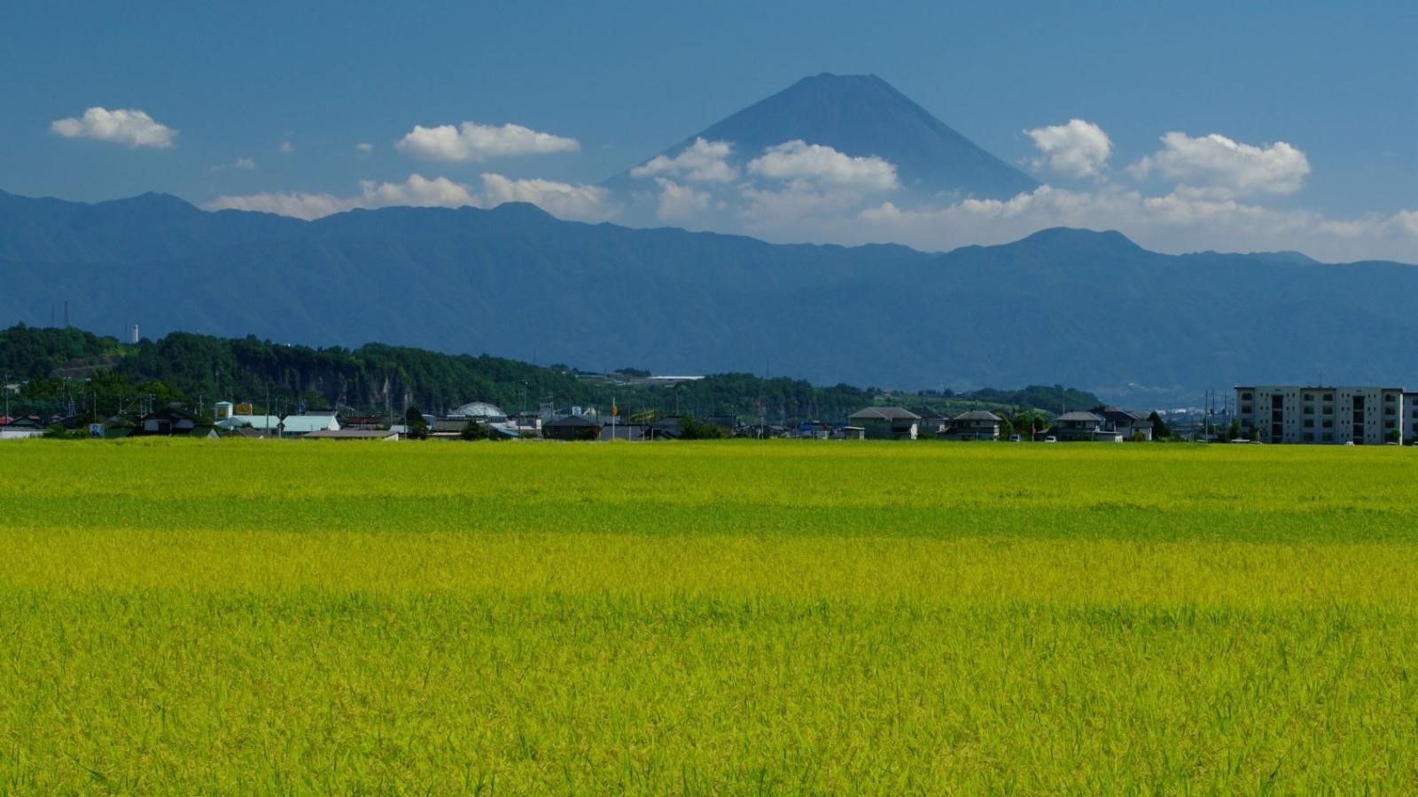 韮崎市から望む富士山